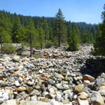 Every Boulder Moved by Hand in the 19th Century, Moore's Flat Placer Diggings, San Juan Ridge, CA, 2004 Moore's Flat Placer Diggings, San Juan Ridge, CA, Vince Pitelka, 2004