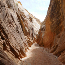 Chute Canyon, San Rafael Reef, UT, 2017 Chute Canyon, San Rafael Reef, UT, Vince Pitelka, 2017