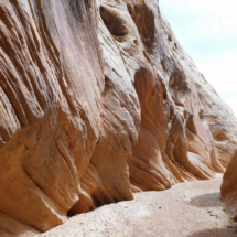 Chute Canyon, San Rafael Reef, UT, 2017 Chute Canyon, San Rafael Reef, UT, Vince Pitelka, 2017