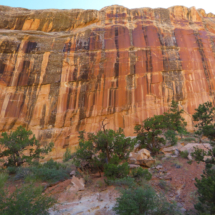 Water-stained sandstone cliff, Wildhorse Canyon, San Rafael Reef, UT, 2017 Water-stained sandstone cliff, Wildhorse Canyon, San Rafael Reef, UT, Vince PItelka, 2017