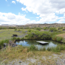 Soldier Meadows Hot Spring, north of the Black Rock Desert, NV, 2016 Soldier Meadows Hot Spring, north of the Black Rock Desert, NV, Vince Pitelka, 2016