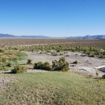 Spencer Hot Spring, near US-50 east of Austin, NV, 2014 Spencer Hot Spring, near US-50 east of Austin, NV, Vince Pitelka, 2014
