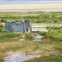 Alvord Hot Spring, Alvord Desert, OR, 2015. Private property, they charge a fee for soaking and/or camping. Alvord Hot Spring, Alvord Desert, OR, Vince Pitelka, 2015. Private property, they charge a fee