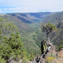Big Indian Creek Gorge, Steens Mountain, OR, 2014 Big Indian Creek Gorge, Steens Mountain, OR, Vince Pitelka, 2014