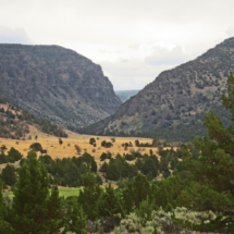 Little Blitzen Gorge from below, near South Steens Campground, Steens Mountain, OR 2014 Little Blitzen Gorge from below, near South Steens Campground, Steens Mountain, OR, Vince Pitelka, 2014