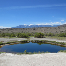 Mickey's Hot Spring, Alvord Desert, OR, 2015. Steens Mountain in the background. Scalding water, no soaking opportunities. Mickey's Hot Spring, Alvord Desert, OR, Vince Pitelka, 2015. Steens Mountain in the background.