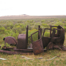 Elegant Decay, Leonard Hot Spring, Surprise Valley, CA, 2003 Elegant Decay, Leonard Hot Spring, Surprise Valley, CA, Vince Pitelka, 2003