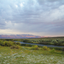 The Bog Hot Spring, west of Denio Junction, NV, 2015 The Bog Hot Spring, west of Denio Junction, NV, Vince Pitelka, 2015