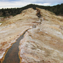 Outflow from Source Spring, Travertine Hot Spring, near Bridgeport, CA, 2011 Outflow from Source Spring, Travertine Hot Spring, near Bridgeport, CA, Vince Pitelka, 2011