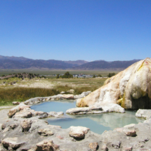 Travertine Hot Spring, near Bridgeport, CA, 2013 Travertine Hot Spring, near Bridgeport, CA, Vince Pitelka, 2013
