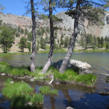 Upper Deadfall Lake, Trinity Mountains, CA, 2015 Upper Deadfall Lake, Trinity Mountains, CA, Vince Pitelka, 2015