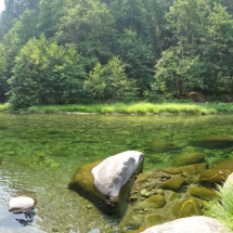 Panorama, North Fork of the Salmon River, Klamath National Forest, CA, August, 2018, smoke from the Carr Fire. North Fork of the Salmon River, Klamath National Forest, CA, August, Vince Pitelka, 2018, smoke from the Carr Fire.