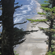 View of the Beach from Heceta Head, Washburn State Park, OR, 2008 View of the Beach from Heceta Head, Washburn State Park, OR, Vince Pitelka, 2008