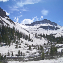 Yankee Boy Basin, Canyon Creek, Ouray, CO, 2007 Yankee Boy Basin, Canyon Creek, Ouray, CO, Vince Pitelka, 2007