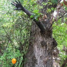 Yard Art on Tom's Property, Klamath River, CA, 2006 Yard Art on Tom's Property, Klamath River, CA, Vince Pitelka, 2006