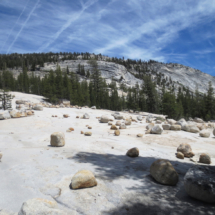Slickrock and Glacial Debris, Murphy Creek Trail, Yosemite National Park, CA, 2015 Slickrock and Glacial Debris, Murphy Creek Trail, Yosemite National Park, CA, Vince Pitelka, 2015