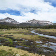 Tuolumne Meadows, Mammoth Peak, and Kuna Crest, Yosemite, National Park, CA, 2016 Tuolumne Meadows, Yosemite, National Park, CA, Vince Pitelka, 2016