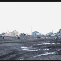 51, June 7 - Barrow Village Barrow Village, Point Barrow, AK, 1951, photo by Frank Pitelka