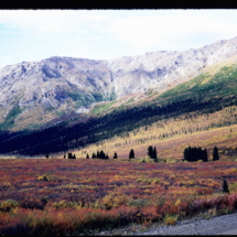 51, September 5 - McKinley Peak McKinley Peak, Alaska, 1951, photo by Frank Pitelka