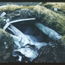 52, June 15 - Barrow, Nuwuk Dugout Nuwuk Dugout near Point Barrow, AK, 1952, photo by Frank Pitelka