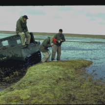 53, June 16 - Barrow - Brewer, Thompson, Pitelka and brant nest Brewer, Thompson, and Frank Pitelka Investigating Brant Nest, near Point Barrow, AK, 1953