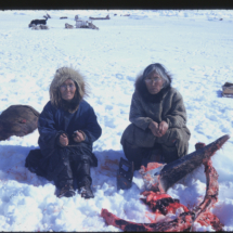 53, May 29 - whale camp-11 Whale Harvesting by Indigenous People near Point Barrow, AK, 1955, photo by Frank Pitelka