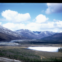 56, May 29 - between Bettles and Amlik Pass Scene Between Bettles and Amlik Pass, Alaska, 1956, photo by Frank Pitelka