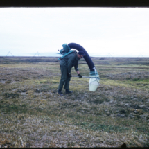 61 - Barrow Vacuum Device for Tundra Research, NARL, Point Barrow, AK, 1961, photo by Frank Pitelka